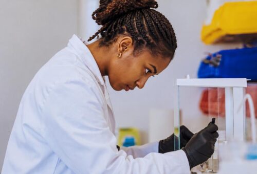 Finwerd launches traineeship to invest in Africa’s next generation of beverage technologists