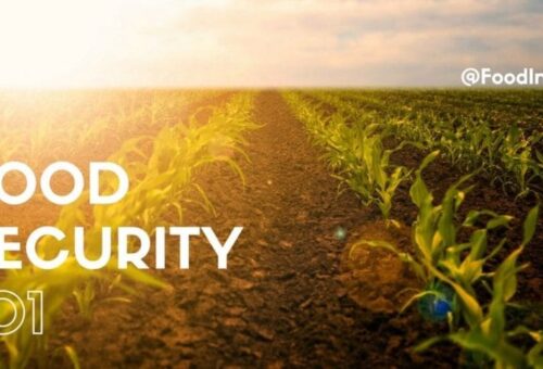 G7 to commit .5bn for food-insecure countries – Daily Trust