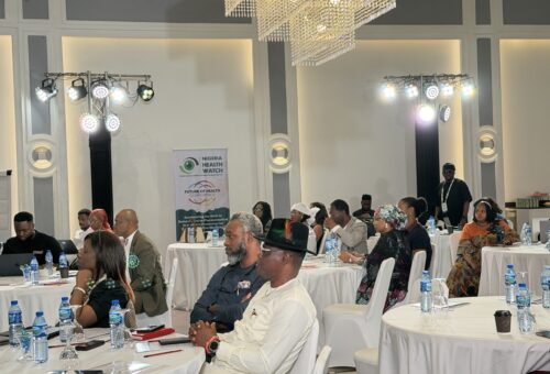 Stakeholders warn Nigeria’s reliance on imported drug ingredients threatens medicine security