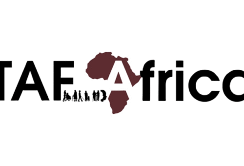 Group calls for disability-inclusive electoral security practices