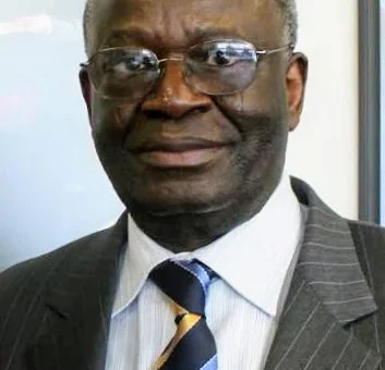 Gambari Examines Nigeria, Africa Global Context For Influence At Diplomacy Day