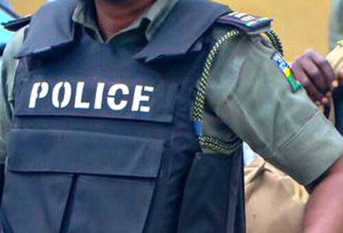 Police arrest 34 foreign nationals, rescue 29 kidnap victims in Benue