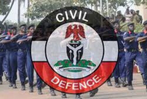 NSCDC arrests two suspected vandals in Kano