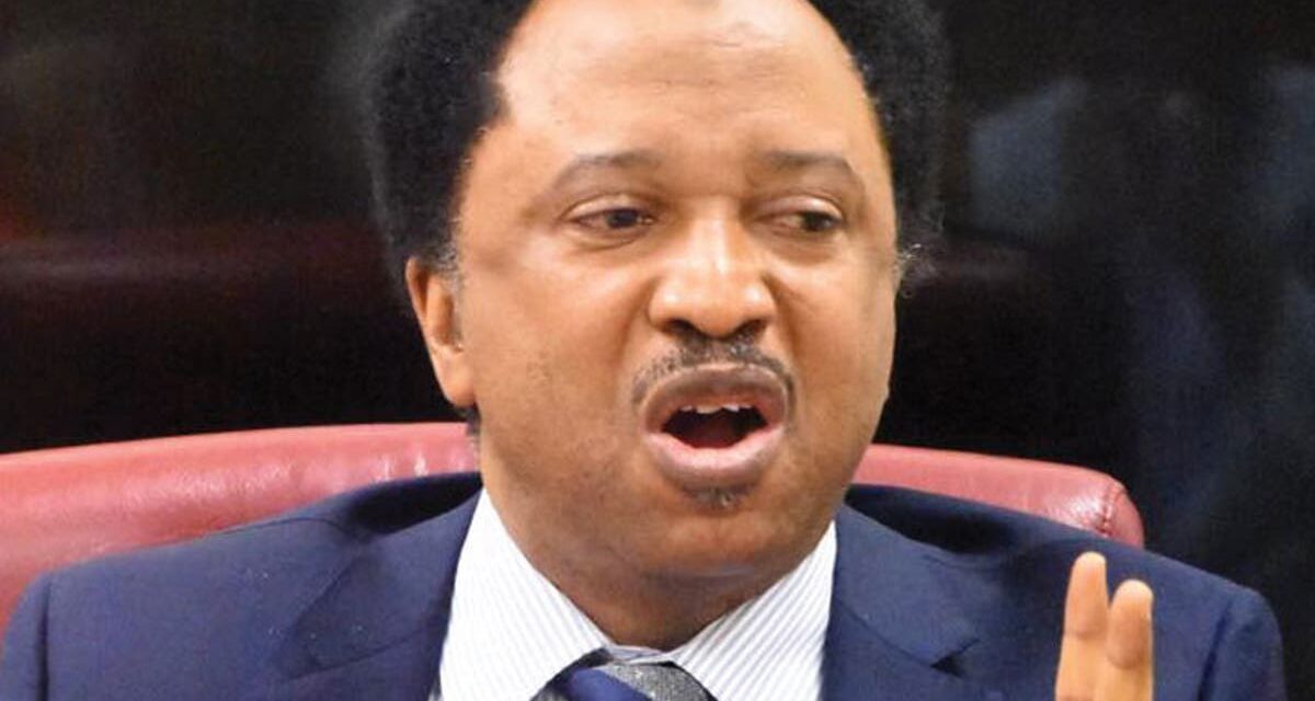 ‘Arrest them now’ – Shehu Sani blasts JIBWIS members threatening to kill Christians