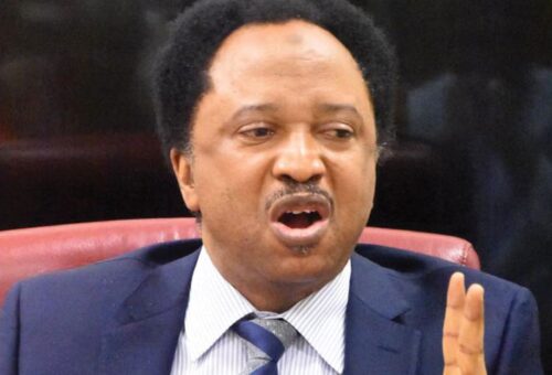 ‘Arrest them now’ – Shehu Sani blasts JIBWIS members threatening to kill Christians