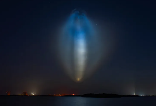 SpaceX Launch Jellyfish May Return as Musk Pledges Shares